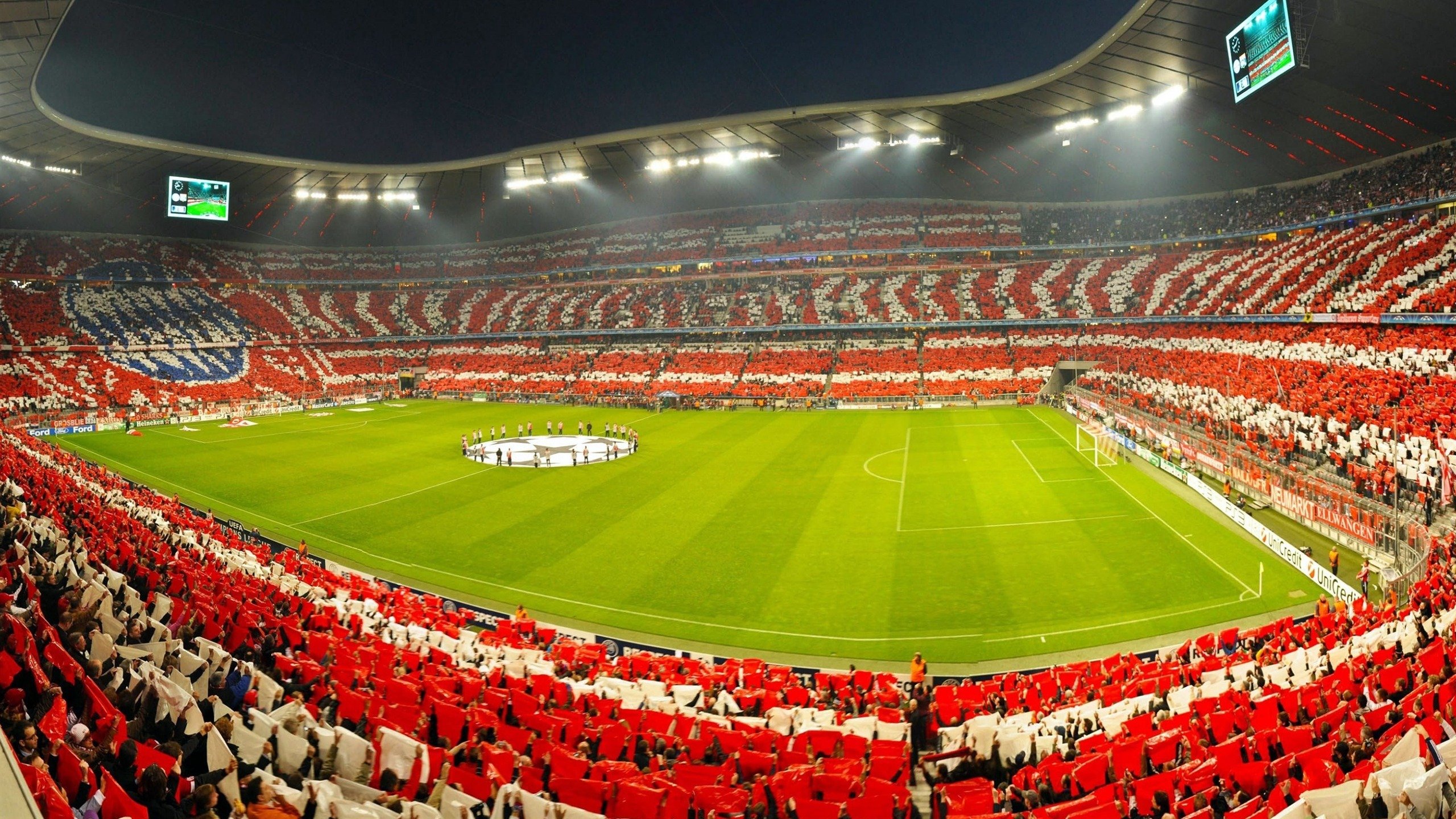 _亲子乐园：少年儿童与父母共诉运动梦想_，亲子共同参与