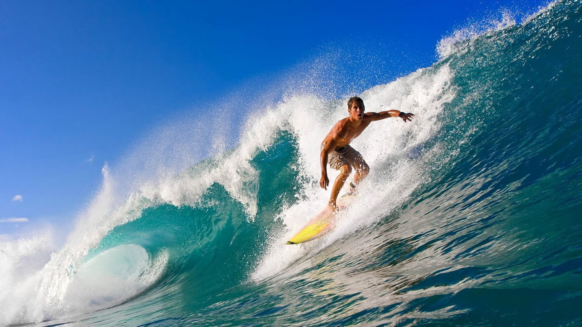 _精英对决：世界排名前十顶尖选手齐聚一堂_，精英对决 狙击手