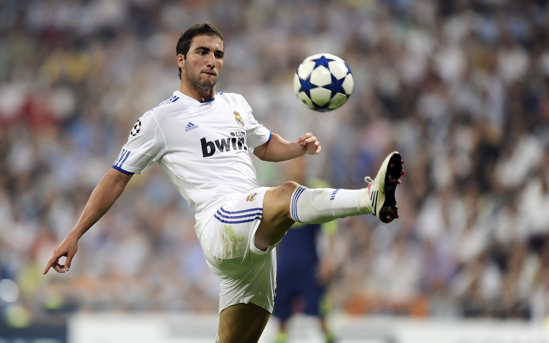 “球场趣味:明星场外趣事和奇闻趣事”